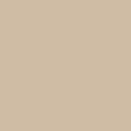 Bar Harbor Beige CC-320